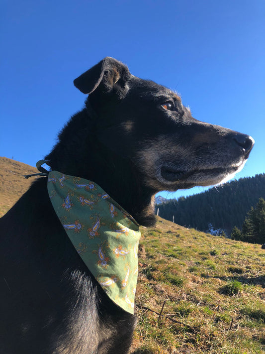 Bandanas - Provence green
