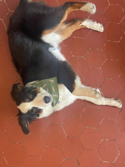 Bandanas - Provence green