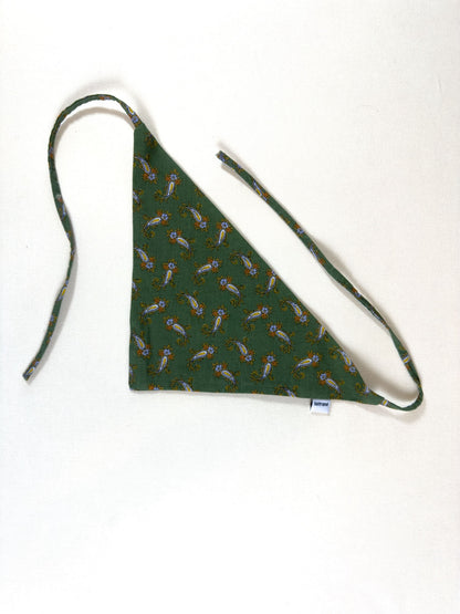 Bandanas - Provence green