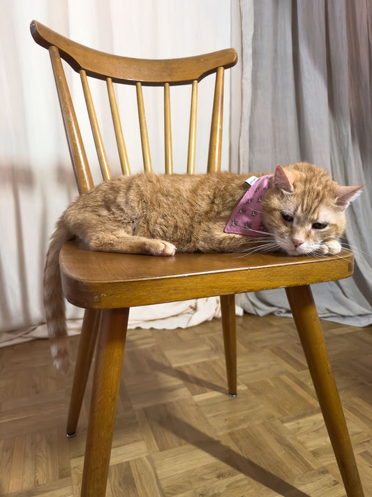 Bandanas - Provence pink