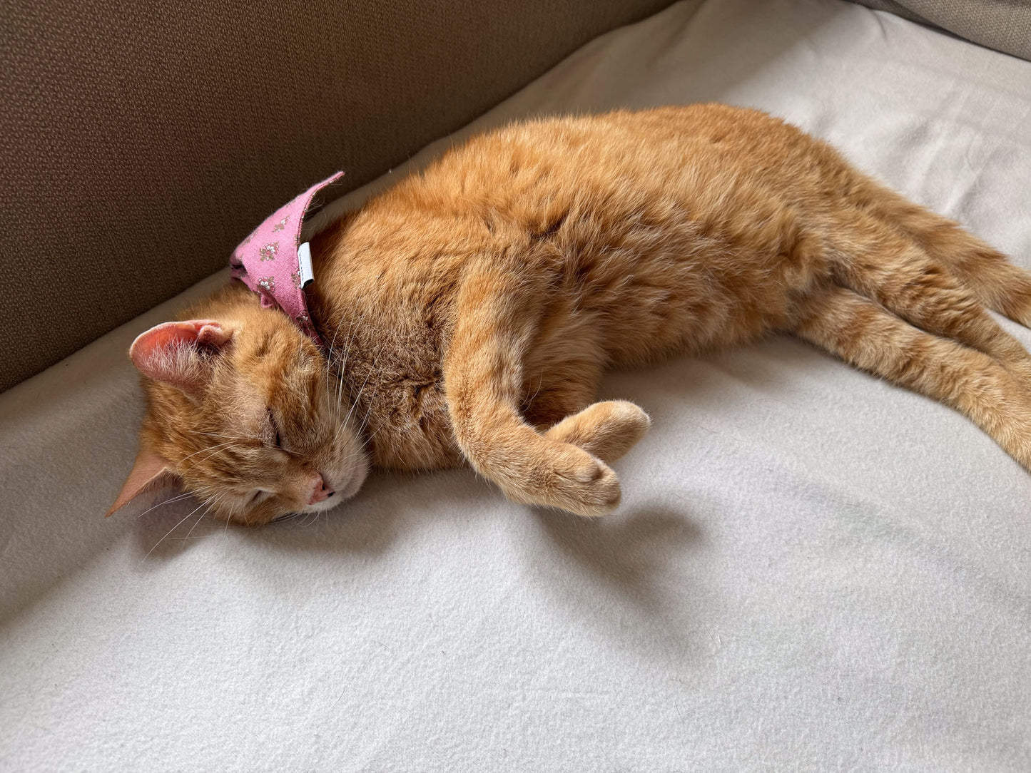 Bandanas - Provence pink